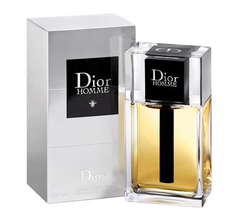 dior de hombre|dior uomo shop online.